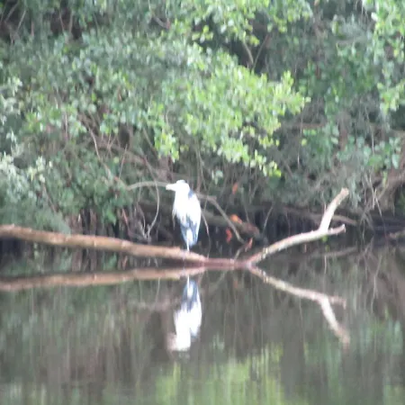 Botel Hausboot Havelboot, Boot Fahren Und Wohnen In Einzigartiger Natur Im Havelland *